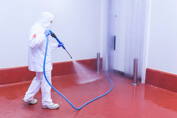 Reliable Shasta, CA Pressure Washing Services Solutions